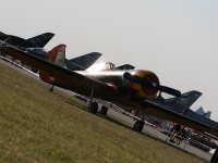 ciaf08-164