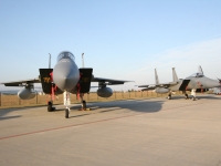 ciaf08-30