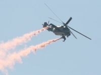 ciaf08-4