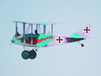 ciaf08-49