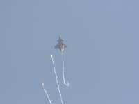 ciaf08-55