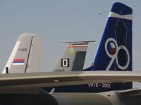ciaf08-61
