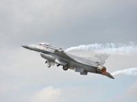 farnborough_2010_acex_0032