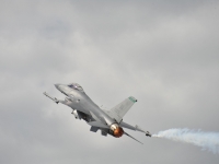 farnborough_2010_acex_0087